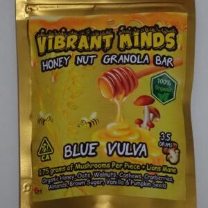 Granola Bar 1g  - Bull Run + Lion's Mane - Vibrant Minds